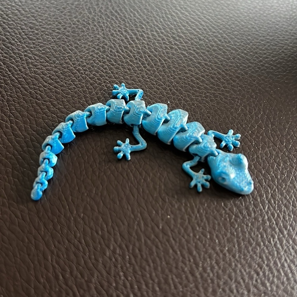 New 3D Lizard